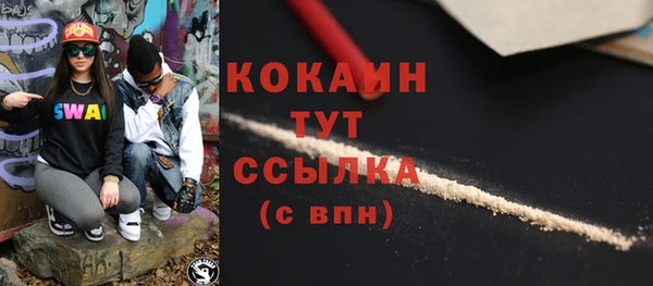 шишки Ладушкин