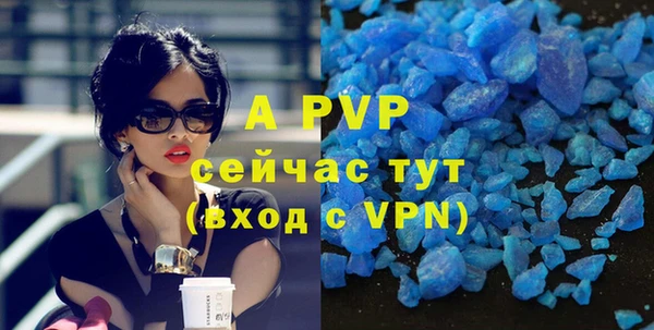 шишки Ладушкин