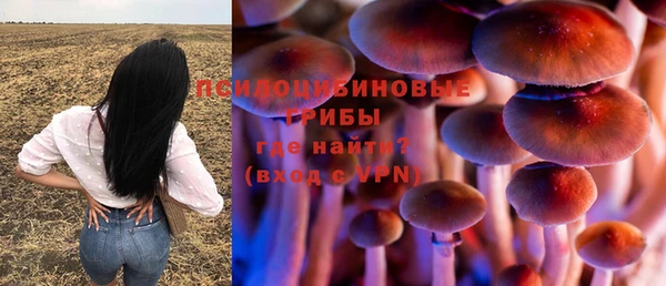 МДМА Лагань