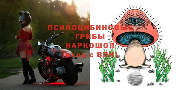 шишки Ладушкин