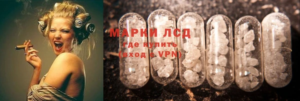 шишки Ладушкин
