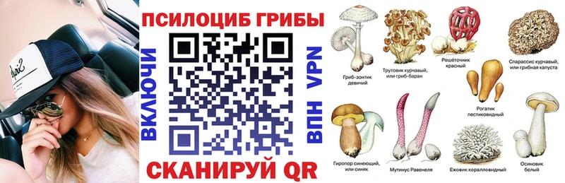 Галлюциногенные грибы Cubensis  блэк спрут маркетплейс  Майский 